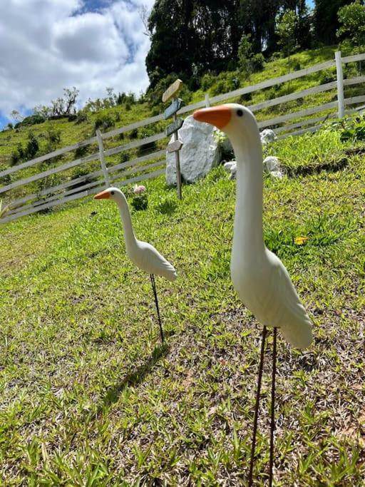 Sitio Vale Das Pedras Alfredo Wagner Bagian luar foto